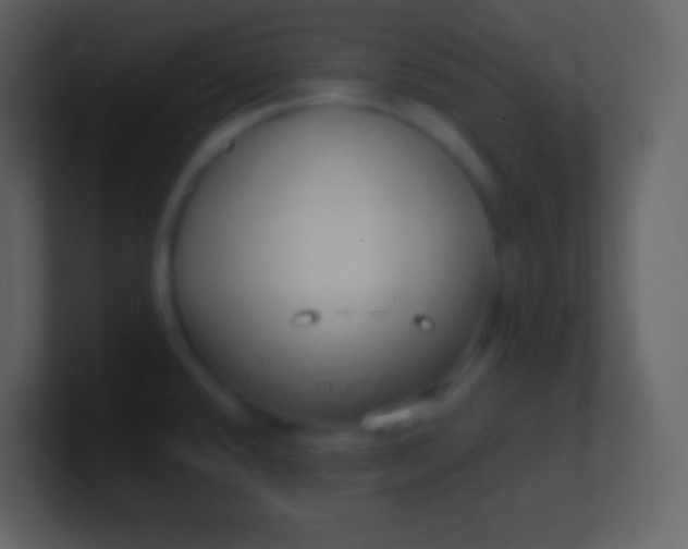 X0000100941432200807081225