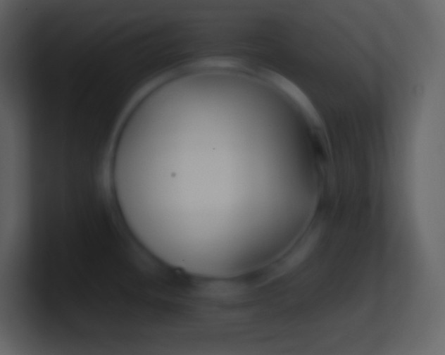 X0000100941436200807081225