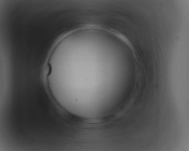 X0000100941440200807081225