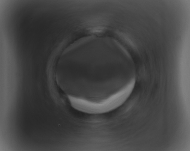 X0000100941441200807081224