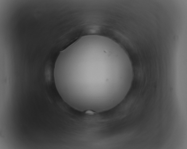 X0000100941442200807081224