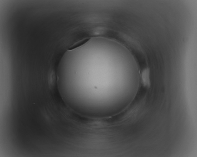 X0000100941443200807081224