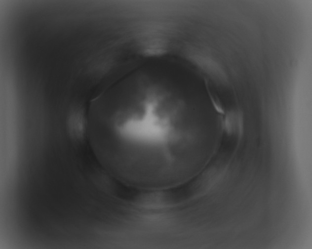 X0000100941444200807081224