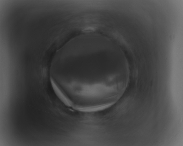 X0000100941445200807081224