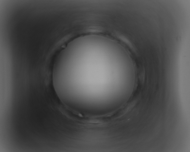 X0000100941448200807081224