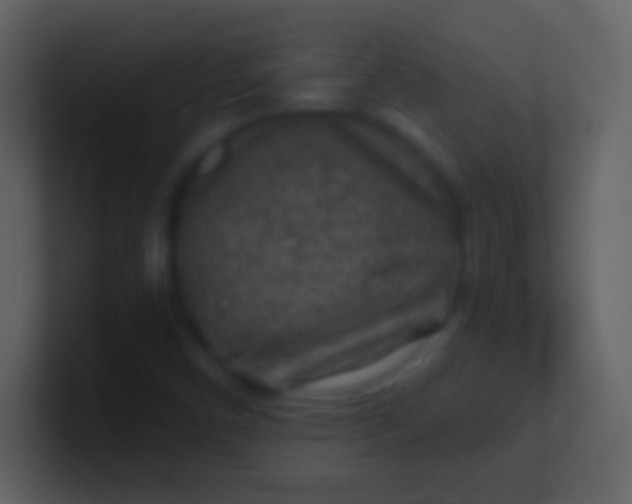 X0000100941450200807081224