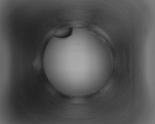 X0000100941451200807081224