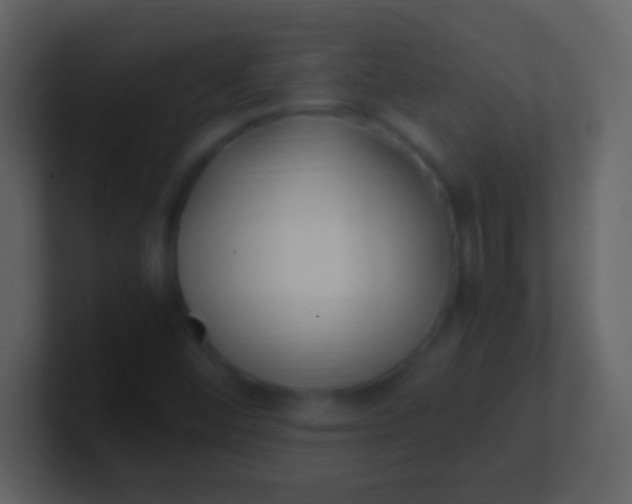 X0000100941452200807081224