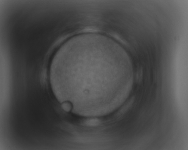 X0000100941454200807081224