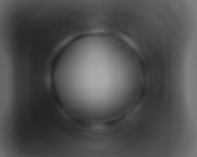 X0000100941456200807081224