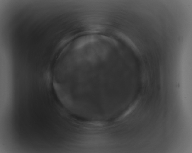 X0000100941457200807081224