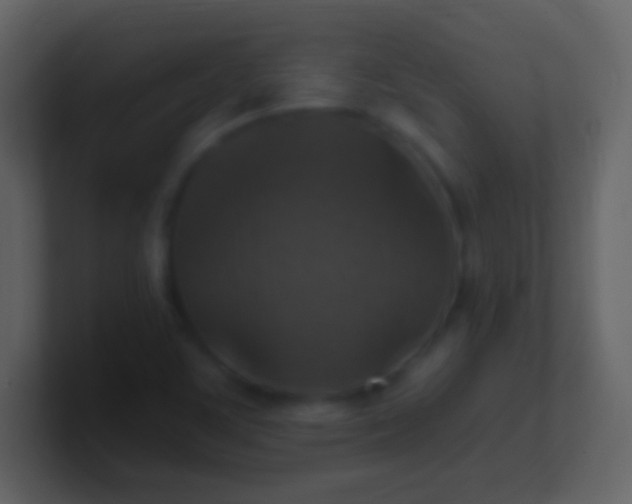 X0000100941459200807081224