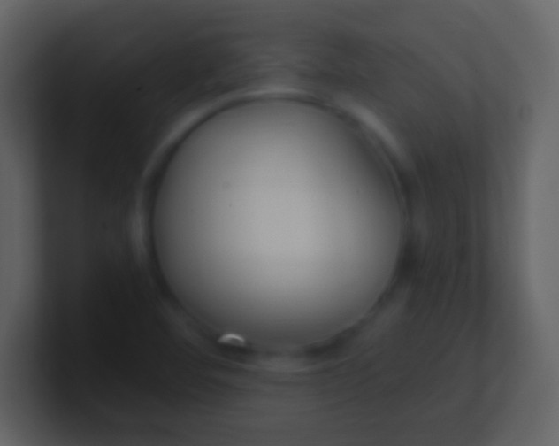 X0000100941460200807081224