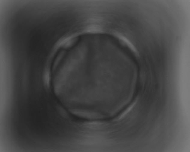 X0000100941461200807081224