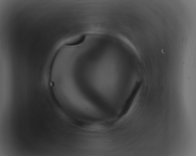 X0000100941463200807081224