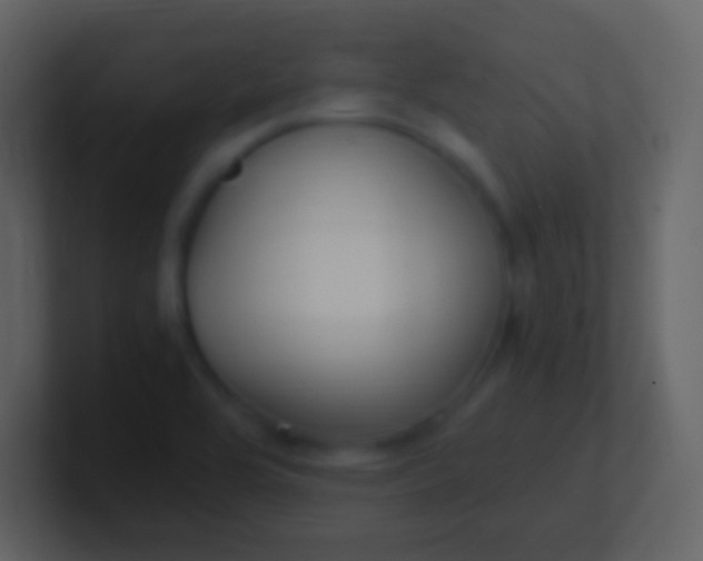 X0000100941464200807081224