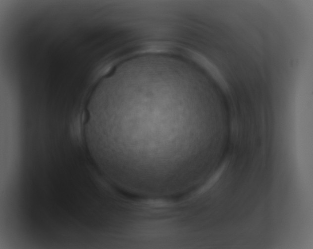 X0000100941465200807081224