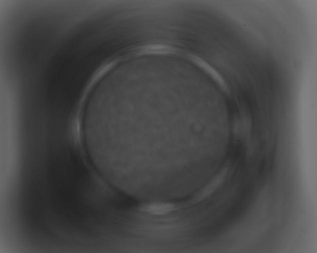 X0000100941466200807081224