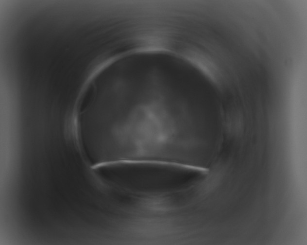 X0000100941468200807081224