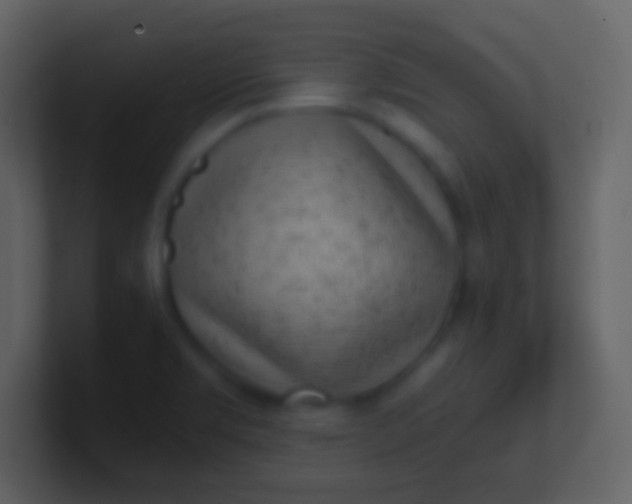 X0000100941469200807081224