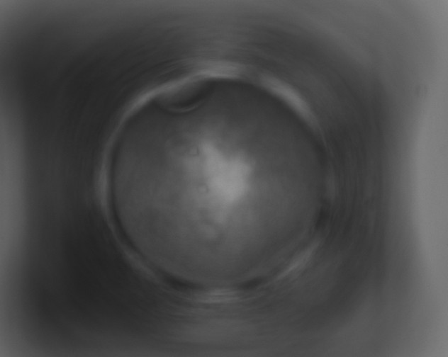 X0000100941471200807081224