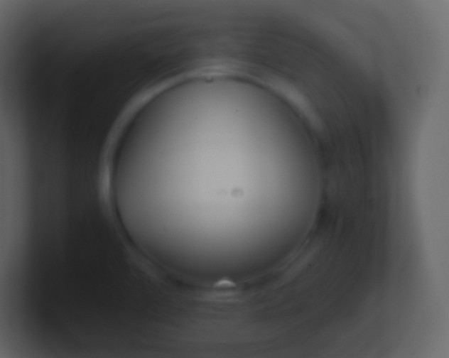 X0000100941472200807081224