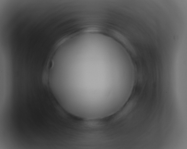 X0000100941473200807081224