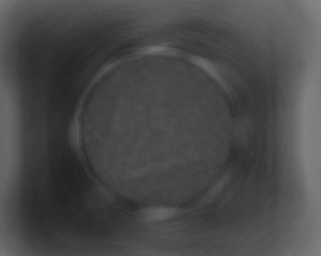 X0000100941474200807081224