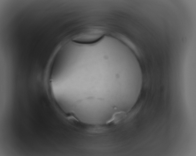 X0000100941475200807081224