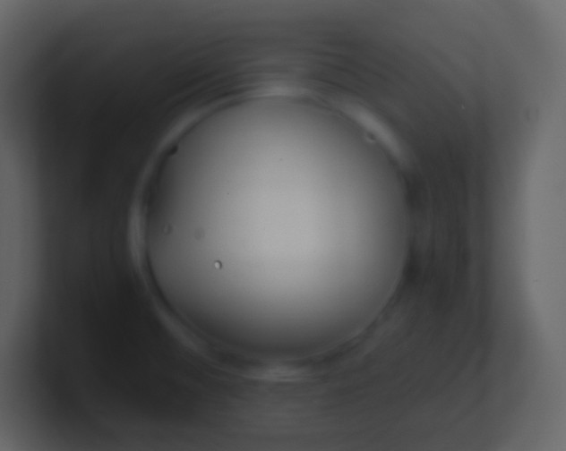 X0000100941476200807081224