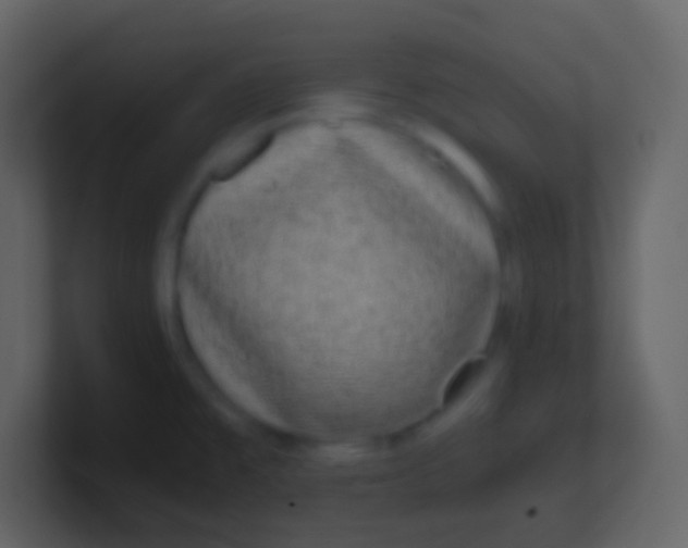 X0000100941477200807081224