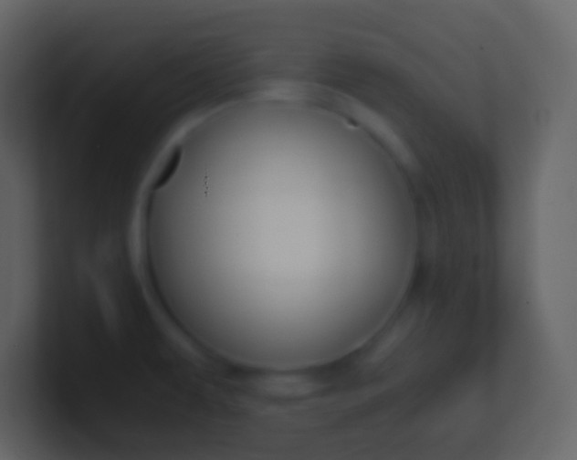 X0000100941479200807081224