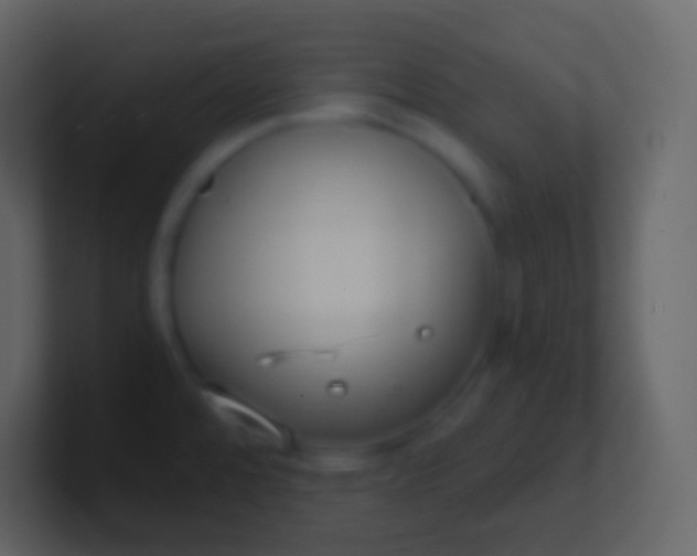 X0000100941480200807081224