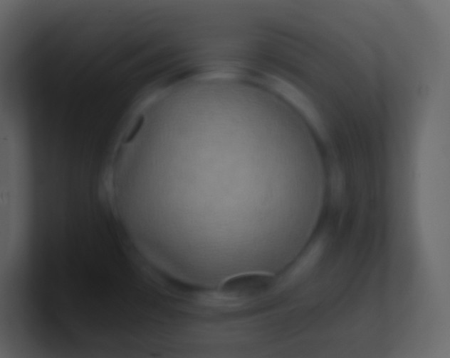 X0000100941481200807081224