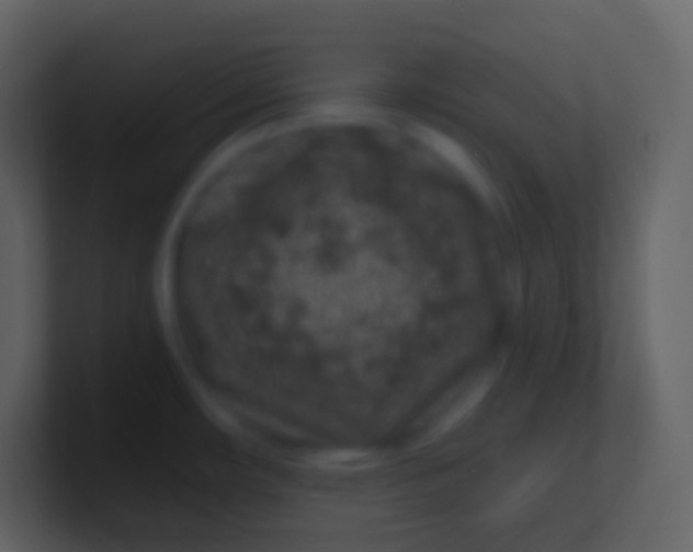 X0000100941482200807081224