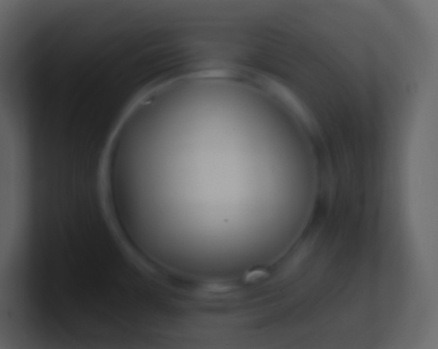 X0000100941483200807081224