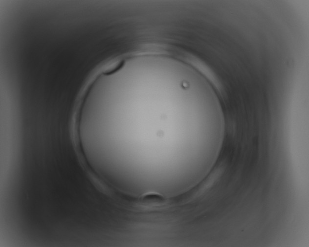 X0000100941485200807081224