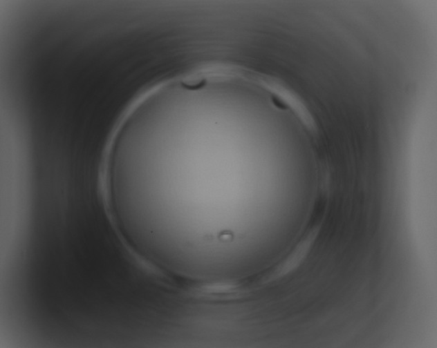 X0000100941486200807081224