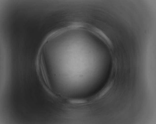 X0000100941487200807081224