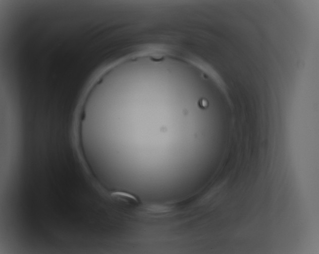 X0000100941488200807081224