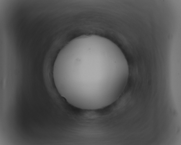 X0000100941489200807081223