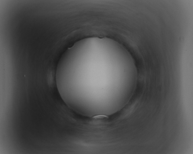 X0000100941490200807081223