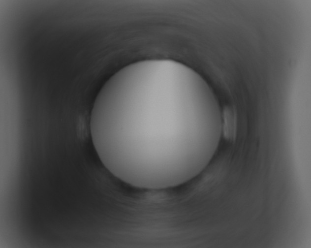 X0000100941491200807081223