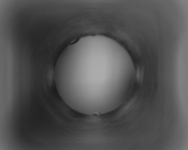 X0000100941492200807081223