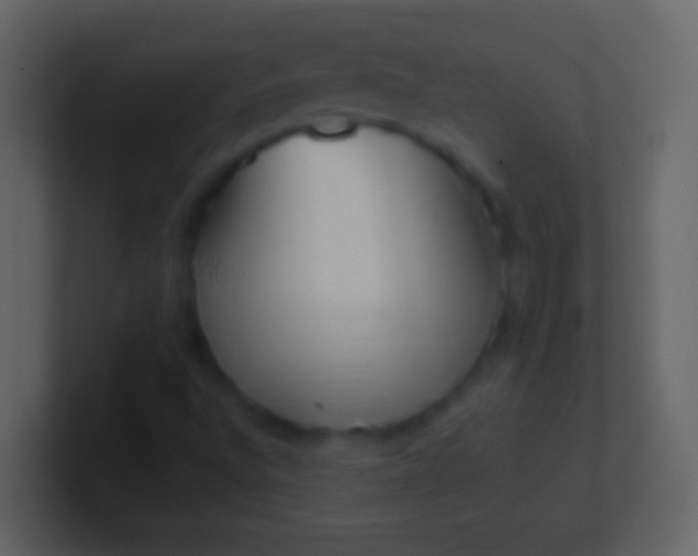 X0000100941496200807081223