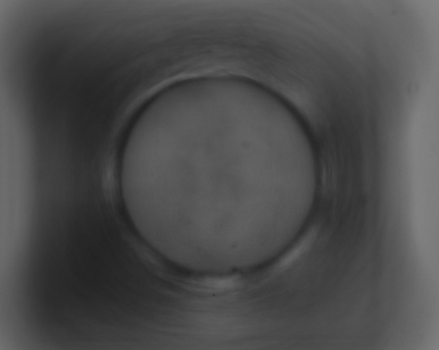 X0000100941498200807081223