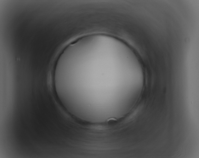 X0000100941500200807081223