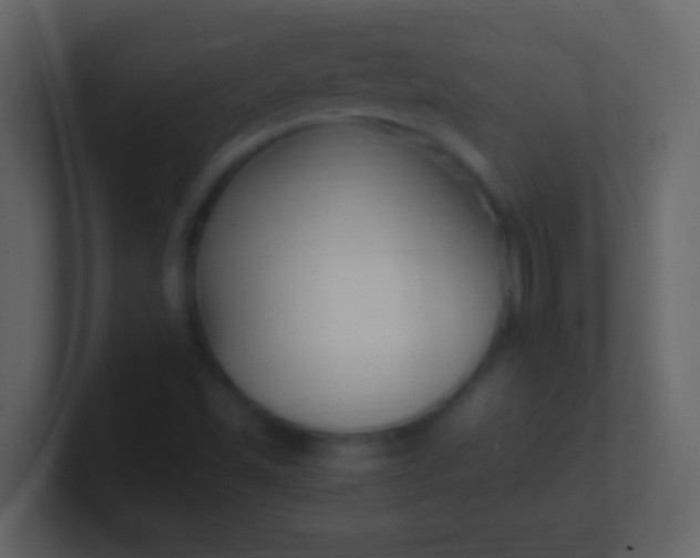 X0000100941501200807081223