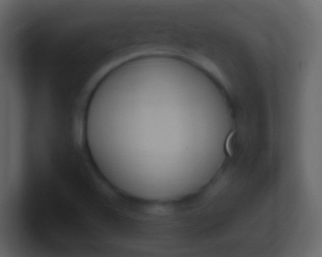 X0000100941504200807081223