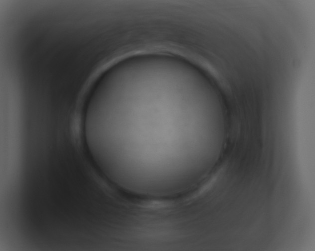 X0000100941506200807081223